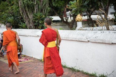 Wat Xieng Thong Sim Budist Rahipler