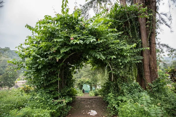 Пишний зелений парк в Нейяру греблі — стокове фото