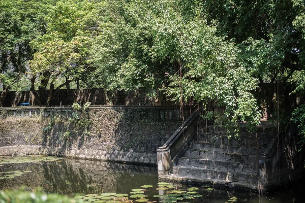 豪路的小水池 — 图库照片