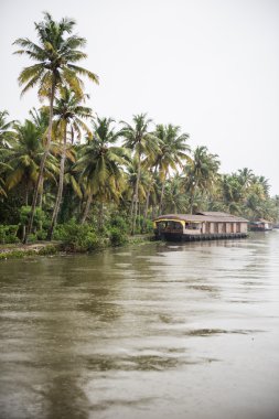 Görünümü Vembanad Gölü 