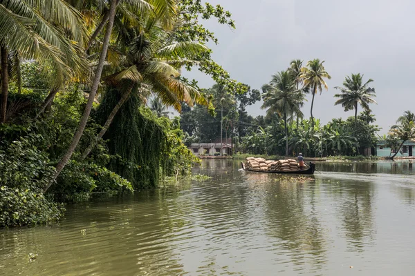 Backwaters in Alleppey — Stock Photo, Image