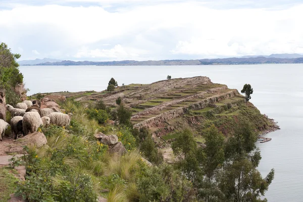 Taquile eiland — Stockfoto