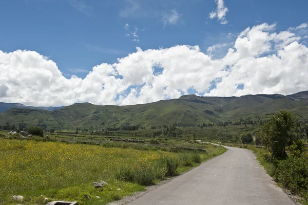 Peruvian roadway — Stock Photo, Image