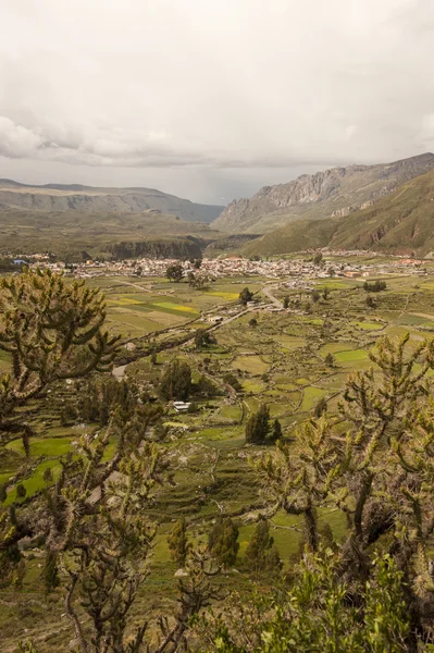 Vista de Chivay — Fotografia de Stock