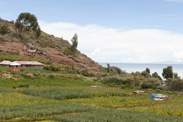 Paisaje peruano — Foto de Stock