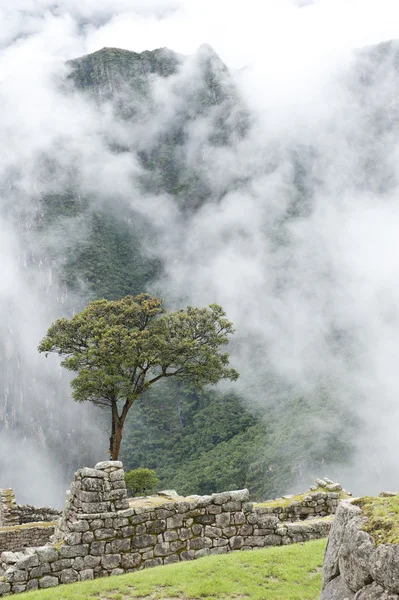 Вид с Мачу-Пикчу — стоковое фото