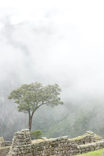 Widok z machu picchu — Zdjęcie stockowe