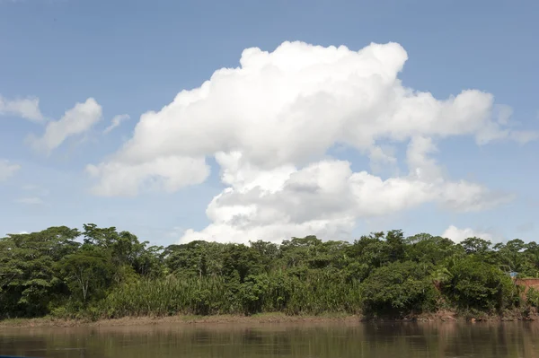 Amazon River — Stock Photo, Image