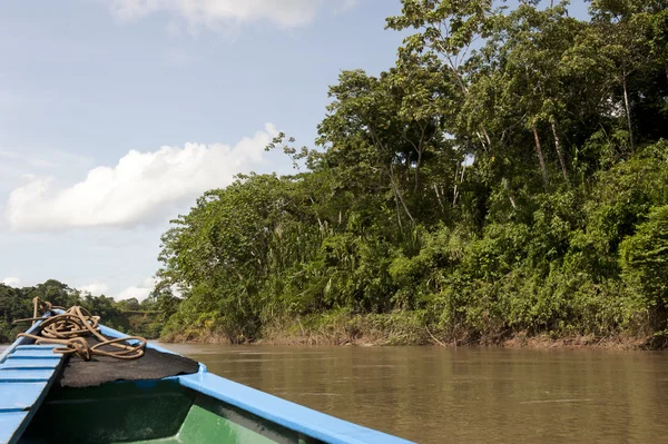 Canoagem na província de Tambopata — Fotografia de Stock