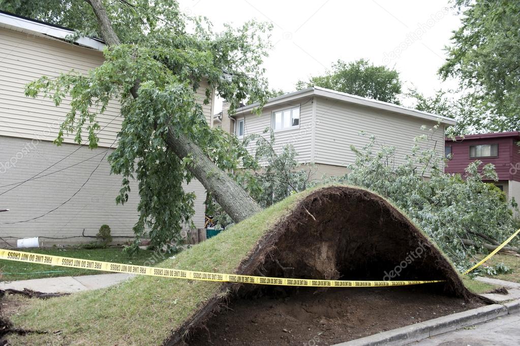 Wind Destruction