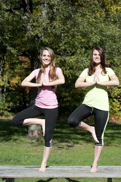 Tree Pose — Stockfoto