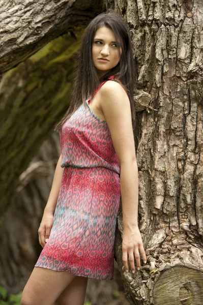 Flicka som poserar på ett träd — Stockfoto