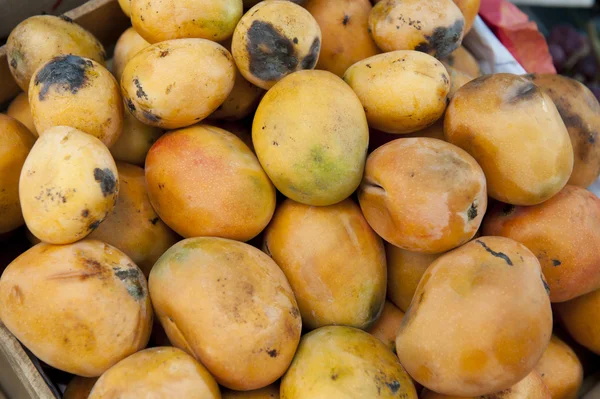 Ripe yellow mangos — Stock Photo, Image