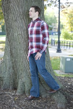 Adamın yanına Park ağaç