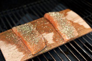 Terbiyeli somon fileto