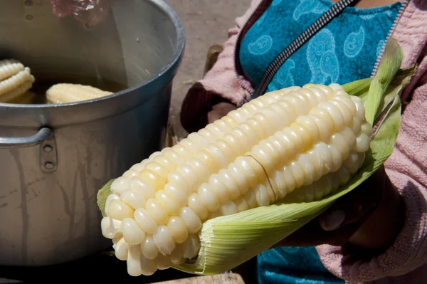 Свежая кукуруза Перу — стоковое фото