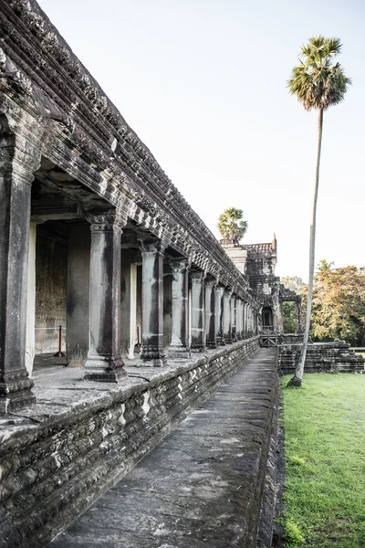 Angkor Wat günde — Stok fotoğraf