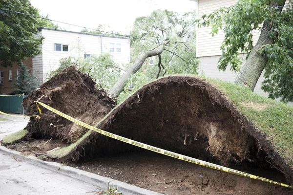 Windzerstörung — Stockfoto