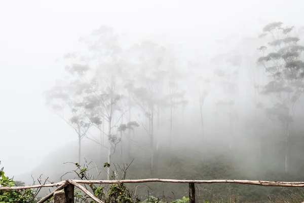 Mgły na Western Ghat Hills — Zdjęcie stockowe