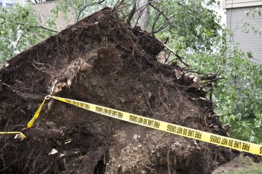 Rüzgar imha açık havada