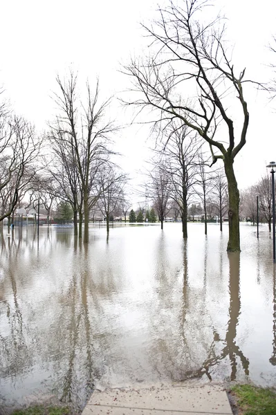 Park unter Wasser im Freien — Stockfoto