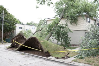 Rüzgar imha açık havada