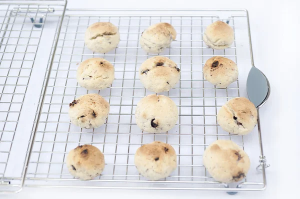 Borůvkový cookie chlazení na stojanu — Stock fotografie