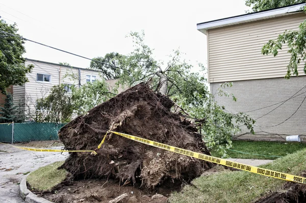 Destrucción del viento al aire libre Imágenes de stock libres de derechos