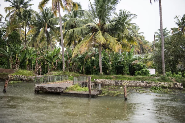 Lake View in Kottayam — Stock Photo, Image