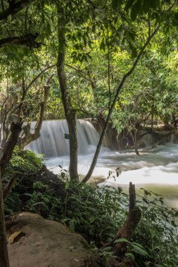 Şelale görünümünü ormandan gizlice