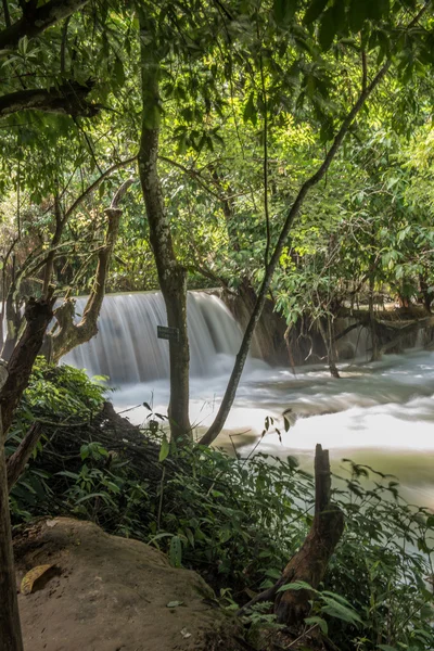 Vista furtiva de la cascada desde el bosque — Foto de Stock