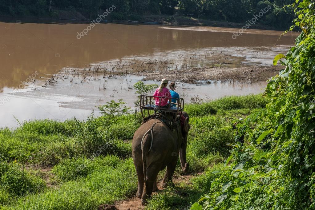 Elephant Ride in Luang Prabang Stock Photo by ©eugenef 93581178