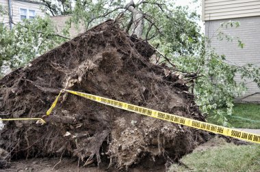 Rüzgar imha açık havada