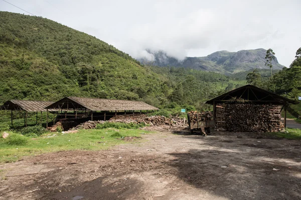 Hills en Rajamala — Foto de Stock