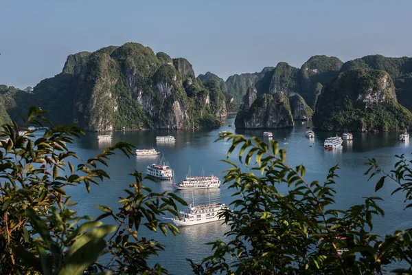 Крупним планом Ha Long Bay Стокова Картинка