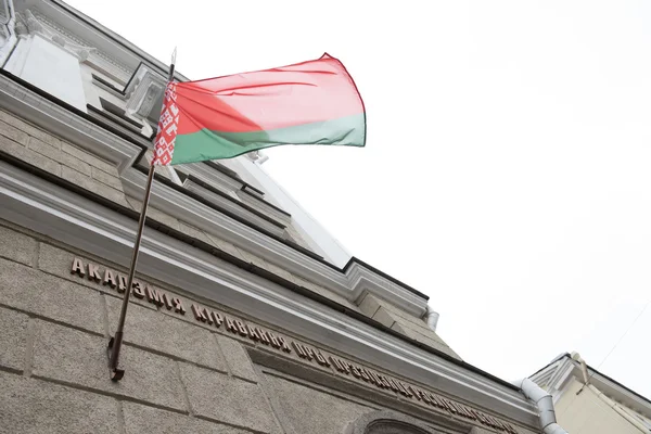 Republic of Belarus Flag