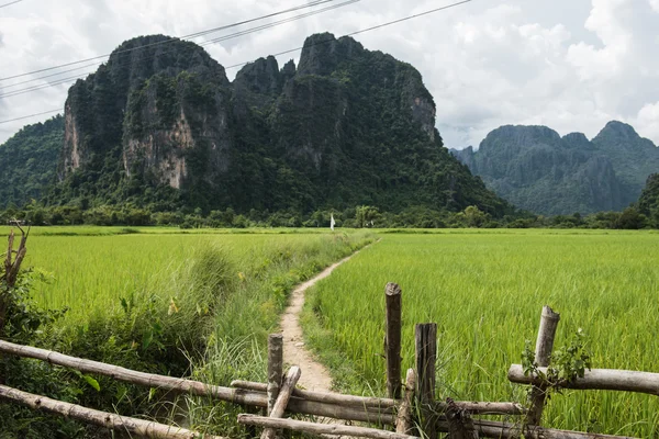 Rocky Hill in Vang Vieng — Stock fotografie