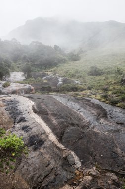 Kayalık ıslak tepenin yamaçlarında