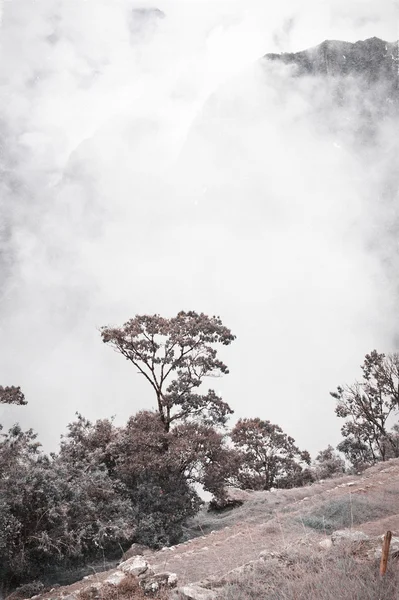 Widok z machu picchu — Zdjęcie stockowe