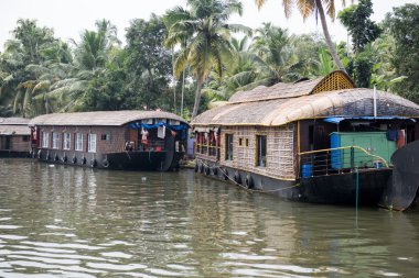 Alleppey Gölde yüzen
