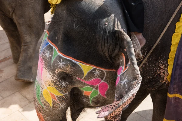 Bunt geschmückter Elefant — Stockfoto