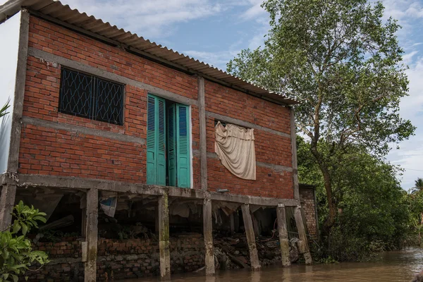 Residential Hut in Mekong Delta — Stock Photo, Image