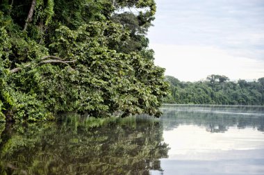 Tambopata il açık havada
