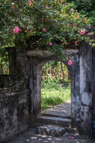 美丽的花朵，里面安和路 — 图库照片