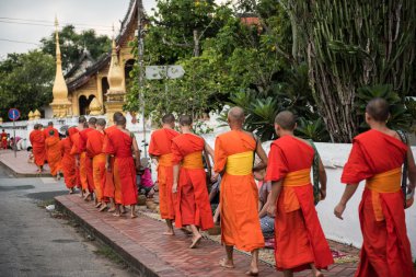Budist rahipler Laos