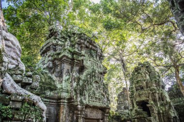 Kamboçya 'daki Ta Prohm Tapınağı