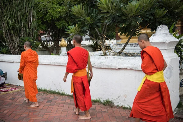 Буддийские монахи в Луангпрабанге — стоковое фото