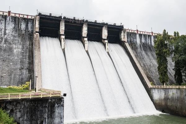Neyyar su deposu görünümü