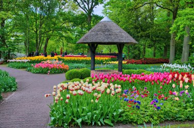 Keukenhof Park, Hollanda'da Lisse ile de renkli Lale
