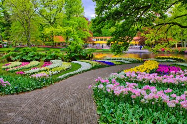 Sokak arasında renkli lale, Keukenhof Park, Hollanda'da Lisse